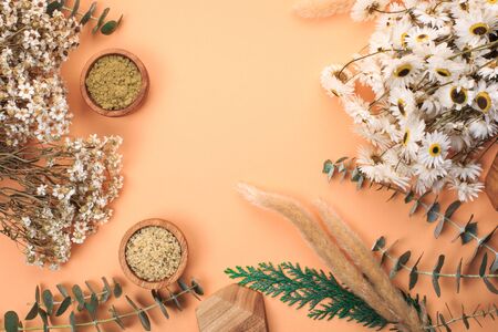 Modern apothecary concept. Herbs, collagen and essential oils in still life compositionsの写真素材