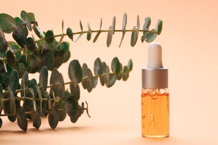 Modern apothecary concept. Herbs, collagen and essential oils in still life compositionsの写真素材