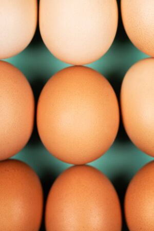 Organic chicken Eggs on mint background. Macro shot. Flat lay style.の写真素材