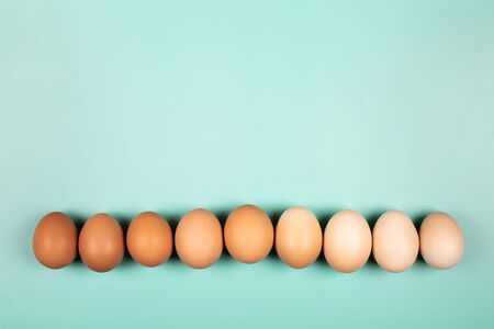 Organic chicken Eggs in line with copy space on mint background. Flat lay style.