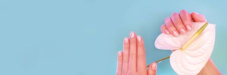 White anthurium flower in female hands with stylish manicure on blue background. Beauty concept.の写真素材