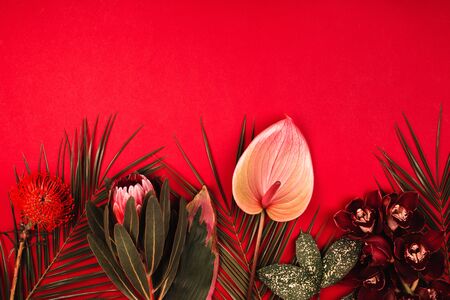 Orchid, anthurium, protea and palm leaves on red background. Tropical flowers flat lay pattern with place for text.の写真素材