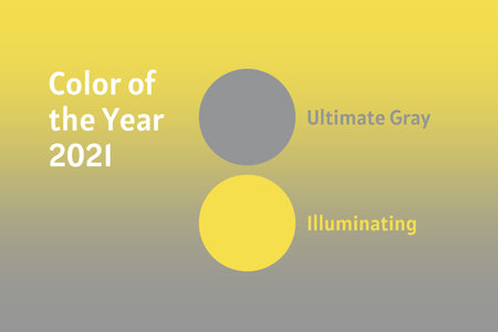 Demonstrating trendy colors 2021 - Gray and Yellow. Frames with text and color samples.の写真素材