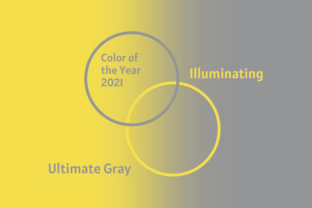 Demonstrating trendy colors 2021 - Gray and Yellow. Frames with text and color samples.の写真素材