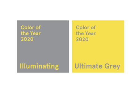 Demonstrating trendy colors 2021 - Gray and Yellow. Frames with text and color samples.の写真素材