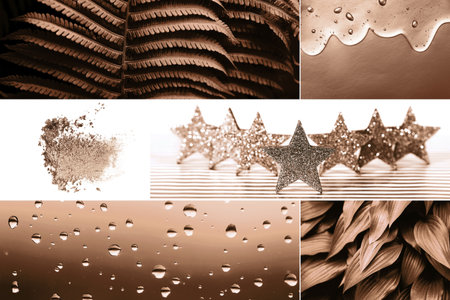 Collage of nature, texture, and glitter elements in warm earthy tonesの写真素材