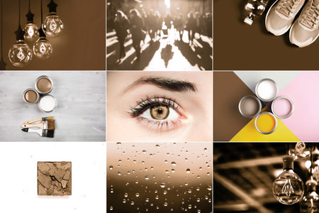 Elegant display of trending color Mocha and Mousse for 2025 fashion highlightsの写真素材