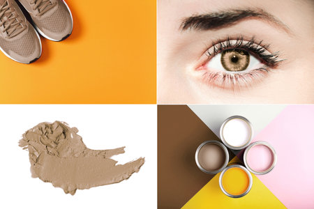 Collage featuring eye, sneakers, paint, and swatch in earthy tonesの写真素材