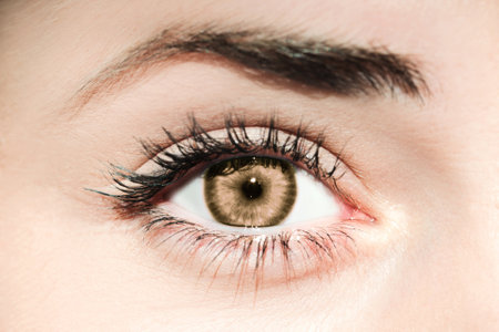 Close-up of a beautiful hazel eye with detailed eyelashes and perfect eyebrowsの写真素材