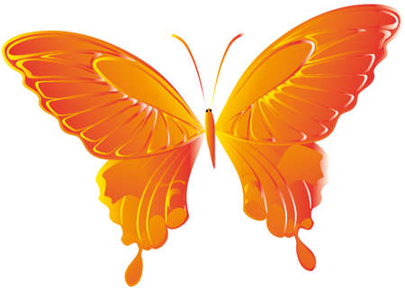 Farfallaのイラスト素材