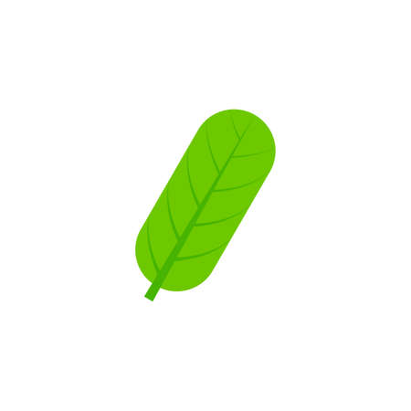 oblong maple leaf flat icon on transparent backgroundのイラスト素材