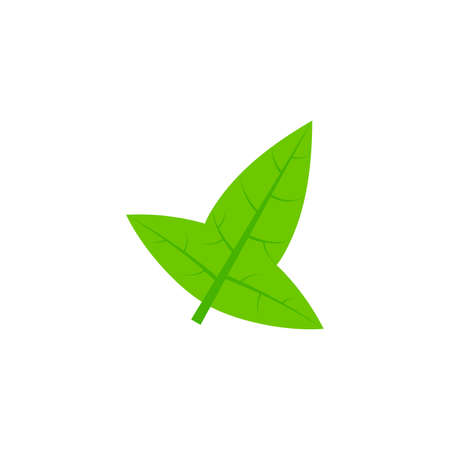 hastate leaf flat icon on transparent backgroundのイラスト素材