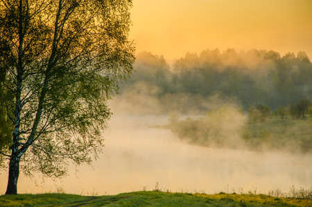 fog over the water . morning fog. thick morning mist over the lake . around the lake grow birch . landscape early in the morning warm . the sun rises and lights up the forest with a pond in the fog .の写真素材