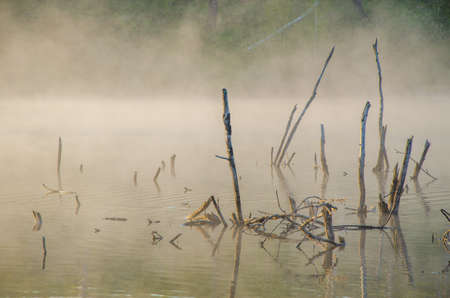 fog over the water . morning fog. thick morning mist over the lake . around the lake grow birch . landscape early in the morning warm . the sun rises and lights up the forest with a pond in the fog .の写真素材