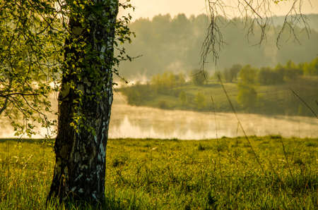 fog over the water . morning fog. thick morning mist over the lake . around the lake grow birch . landscape early in the morning warm . the sun rises and lights up the forest with a pond in the fog .の写真素材