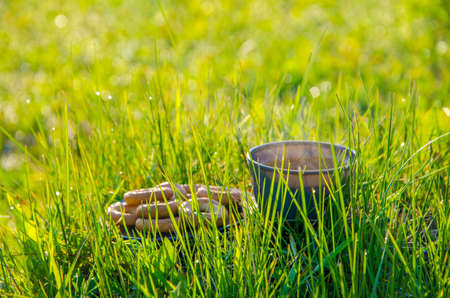 on a green lawn in the early foggy morning . all the grass in the morning dew . the sun's rays fall...