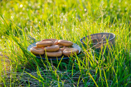 on a green lawn in the early foggy morning . all the grass in the morning dew . the sun's rays fall on the wet grass and flowers. tea in a cup with bagels .の写真素材