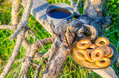 Early spring morning. morning fog. Fresh green grass . on the bench is a cup of tea and a plate of bagels .の写真素材