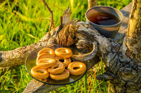 Early spring morning. morning fog. Fresh green grass . on the bench is a cup of tea and a plate of bagels .の写真素材