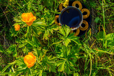 on a green lawn in the early foggy morning . all the grass in the morning dew . the sun's rays fall on the wet grass and flowers. tea in a cup with bagels .の写真素材