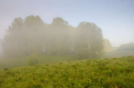 thick morning fog in the summer forest. thick morning fog in the forest at pond. Morning landscape in summer thick fog. dense fog in the morning. early morning. forest hiding in the fog.の写真素材