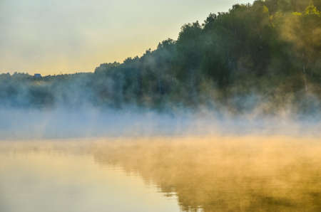 thick morning fog in the summer forest. thick morning fog in the forest at pond. Morning landscape in summer thick fog.dense fog in the morning. early morning. forest hiding in the fog.の写真素材
