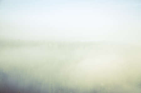 thick fog covered with thick coniferous forest. forest with a bird's eye view . coniferous trees, thickets of green forest. fog covered with thick coniferous forest.の写真素材