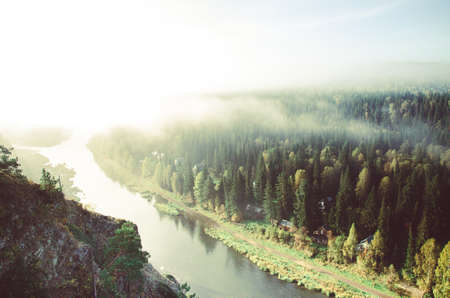 thick fog covered with thick coniferous forest. forest with a bird's eye view . coniferous trees, thickets of green forest. fog covered with thick coniferous forest.の写真素材
