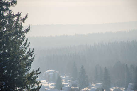 thick fog covered with thick coniferous forest. forest with a bird's eye view . coniferous trees, thickets of green forest. fog covered with thick coniferous forest.の写真素材