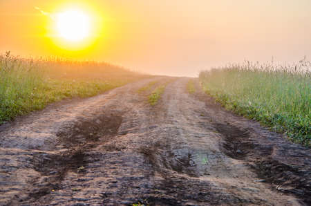 thick morning fog in the summer forest. thick morning fog in the forest at pond. Morning landscape in summer thick fog. dense fog in the morning. early morning. forest hiding in the fog. forest pathの写真素材