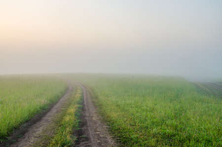 thick morning fog in the summer forest. thick morning fog in the forest at pond. Morning landscape in summer thick fog. dense fog in the morning. early morning. forest hiding in the fog. forest pathの写真素材