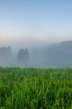 thick morning fog in the summer forest. thick morning fog in the forest at pond. Morning landscape in summer thick fog. dense fog in the morning. early morning. forest hiding in the fog.の写真素材