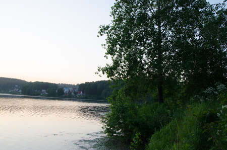 fog over the water . morning fog. thick morning mist over the lake . around the lake grow birch . landscape early in the morning warm . the sun rises and lights up the forest with a pond in the fog .の写真素材