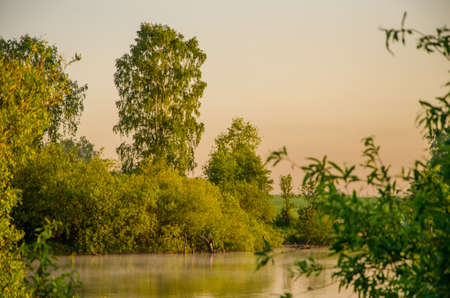fog over the water . morning fog. thick morning mist over the lake . around the lake grow birch . landscape early in the morning warm . the sun rises and lights up the forest with a pond in the fog .の写真素材