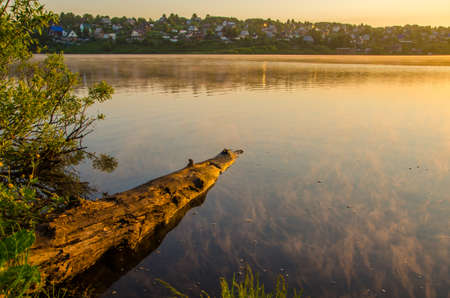 fog over the water . morning fog. thick morning mist over the lake . around the lake grow birch . landscape early in the morning warm . the sun rises and lights up the forest with a pond in the fog .の写真素材