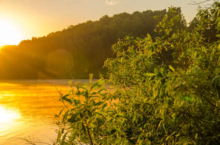 fog over the water . morning fog. thick morning mist over the lake . around the lake grow birch . landscape early in the morning warm . the sun rises and lights up the forest with a pond in the fog .の写真素材