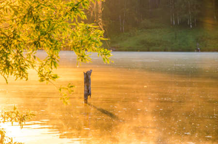 fog over the water . morning fog. thick morning mist over the lake . around the lake grow birch . landscape early in the morning warm . the sun rises and lights up the forest with a pond in the fog .の写真素材