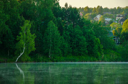 fog over the water . morning fog. thick morning mist over the lake . around the lake grow birch . landscape early in the morning warm . the sun rises and lights up the forest with a pond in the fog .の写真素材