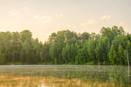 fog over the water . morning fog. thick morning mist over the lake . around the lake grow birch . landscape early in the morning warm . the sun rises and lights up the forest with a pond in the fog .の写真素材