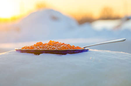 red caviar in the snow. blue plate with metal spoonの写真素材