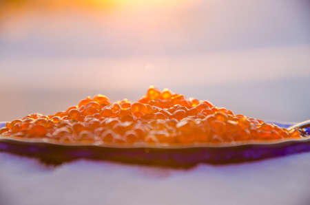 red caviar in the snow. blue plate with metal spoonの写真素材