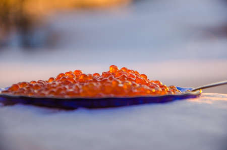 red caviar in the snow. blue plate with metal spoonの写真素材