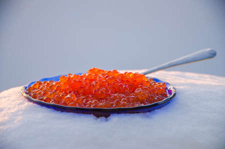 red caviar in the snow. blue plate with metal spoonの写真素材