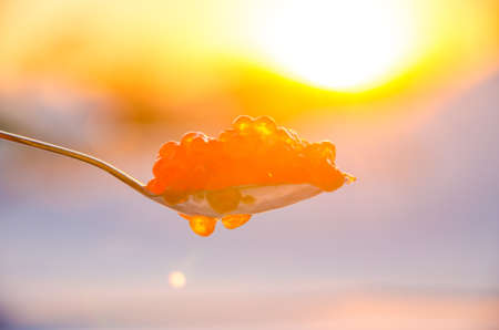 red caviar in the snow. blue plate with metal spoonの写真素材