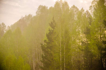 dense fog in the morning. early morning.
