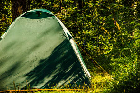 coniferous forest on a summer morning. Tent in a dense forestの写真素材