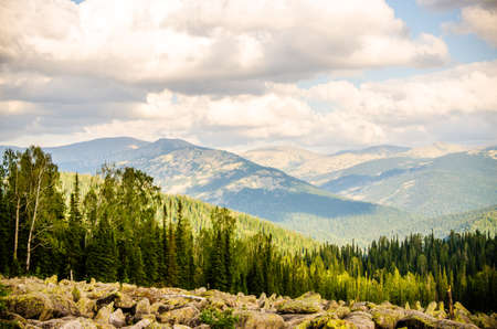 birch and pine forest. blue sky with clouds. mountains and large rocks