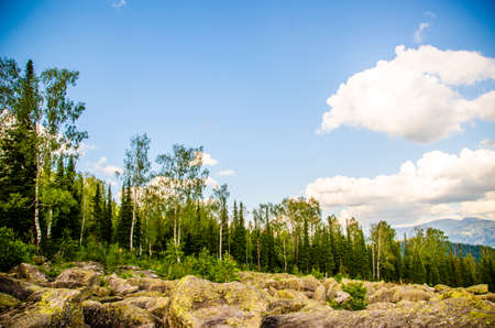 birch and pine forest. blue sky with clouds. mountains and large rocksの写真素材