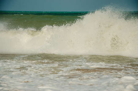 seashore. sandy beach. sunny summer day.