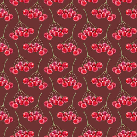 Bright seamless pattern with red rowan berries.の写真素材